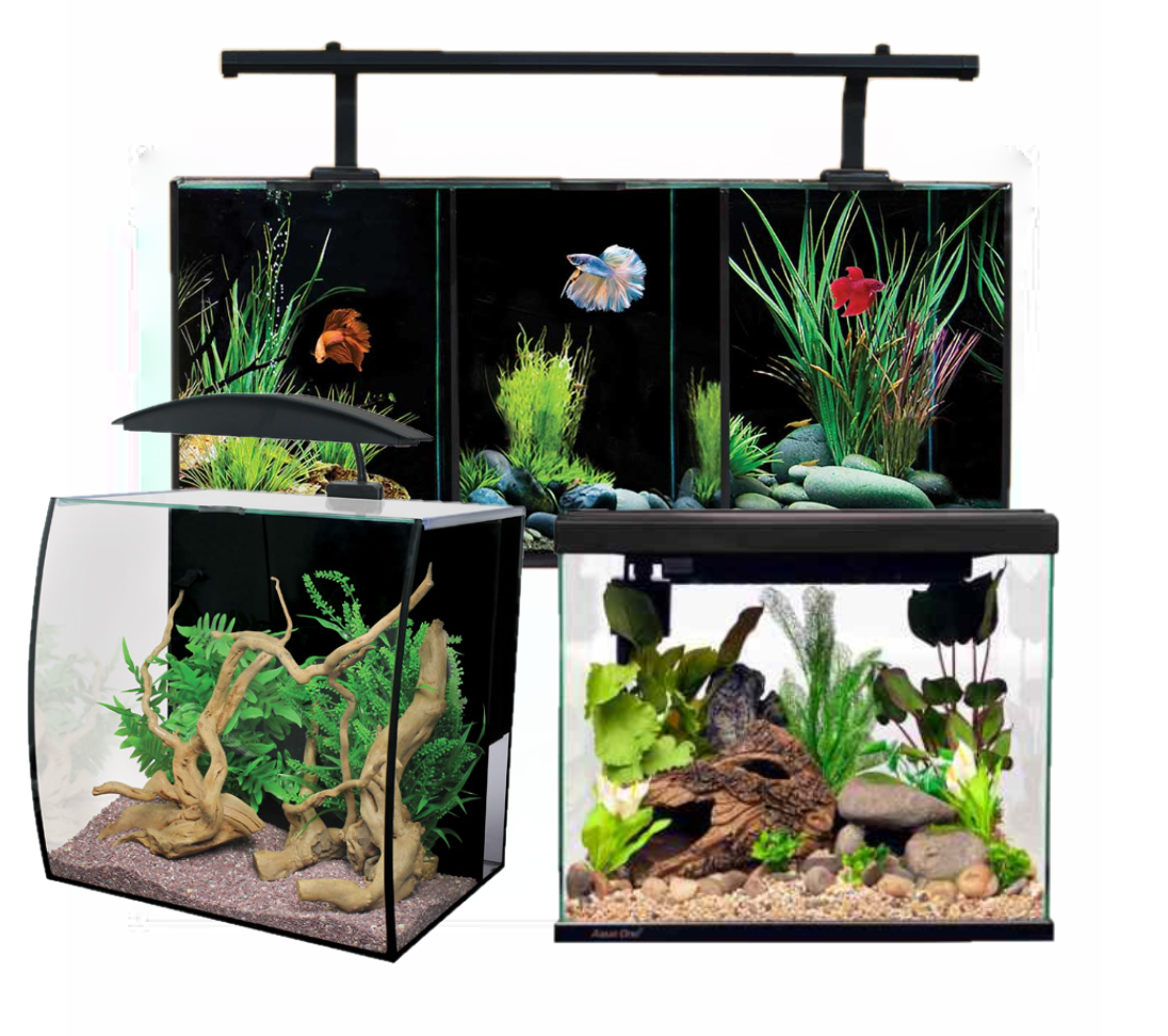 Aqua One Aquarium Kits