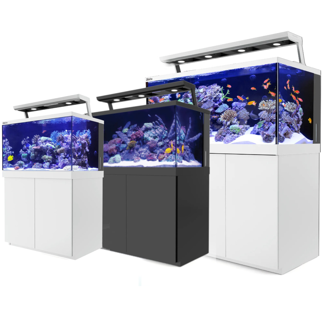 Marine Aquariums and Fish Tanks