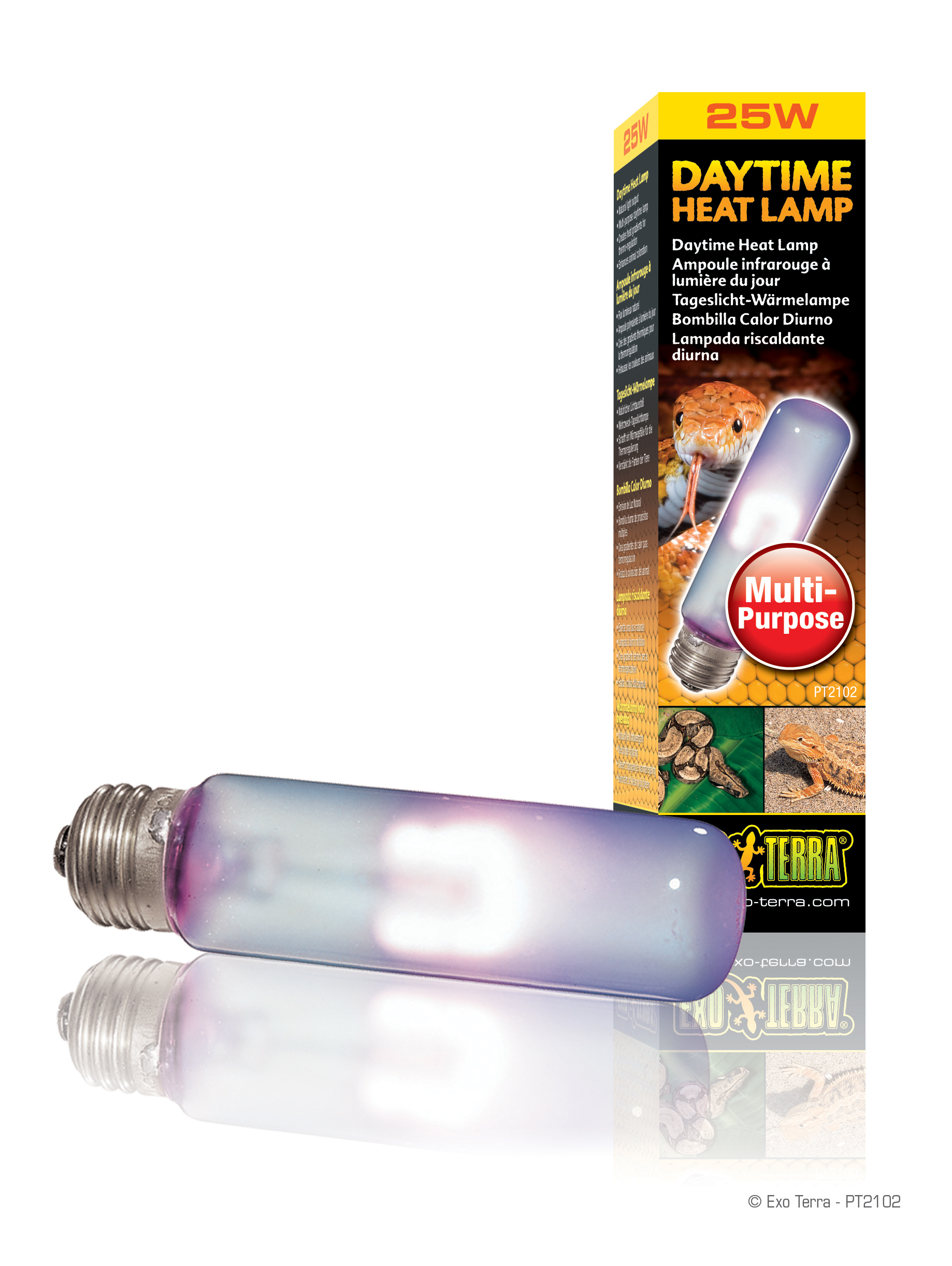 Exo terra night outlet glo reptile bulb