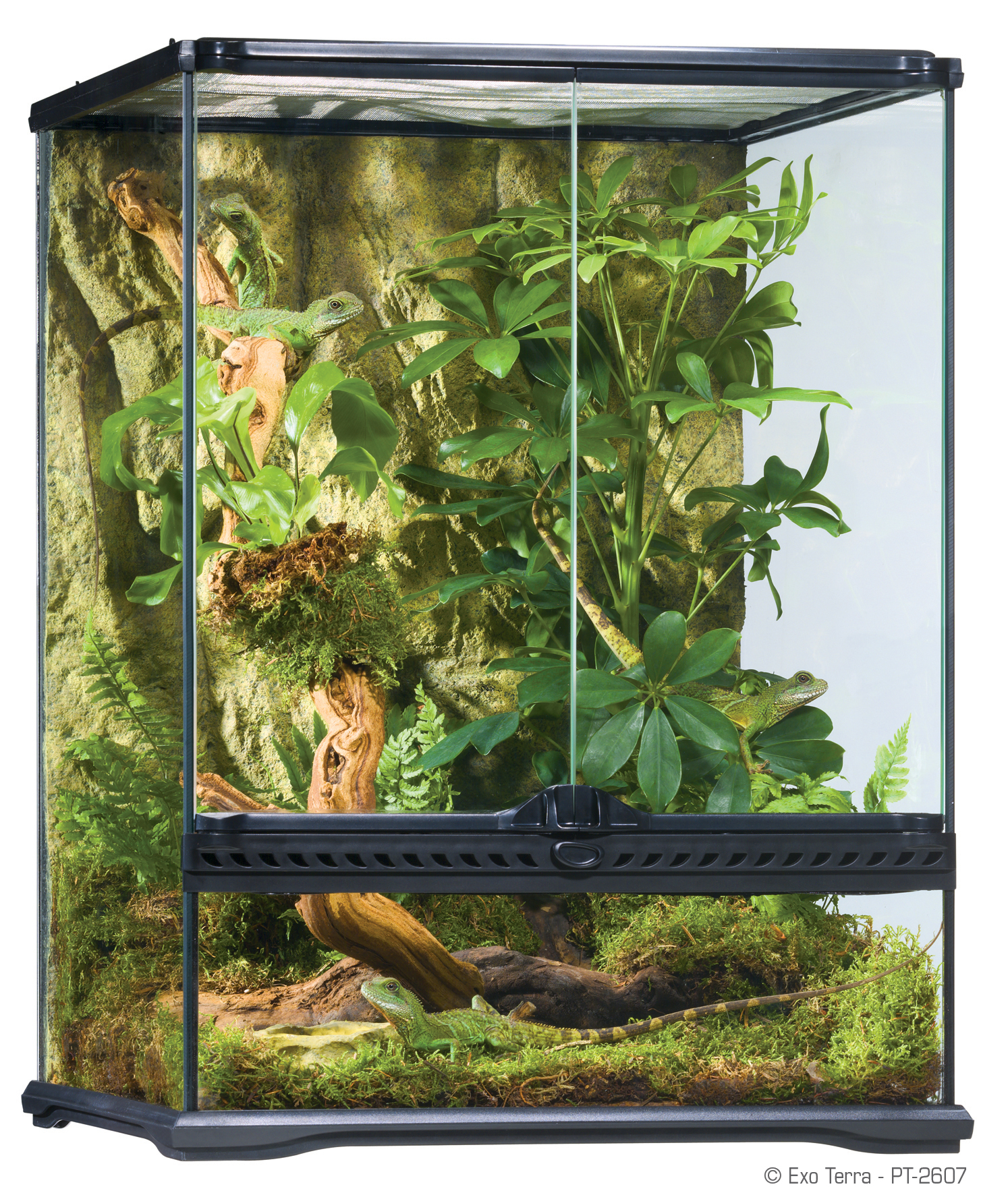 Exo Terra Crested Gecko Habitat Kit Small