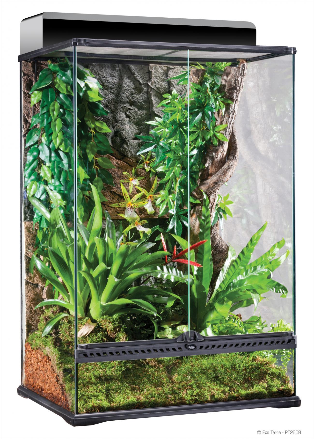 Exo terra short all glass clearance terrarium