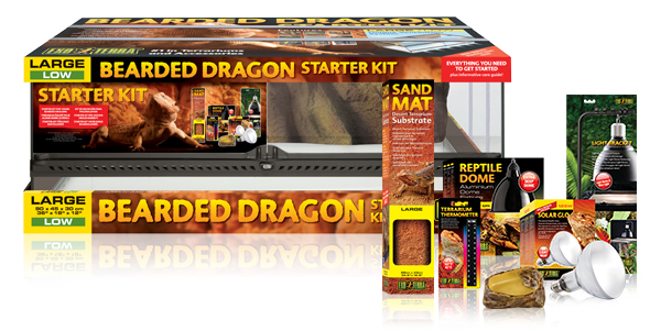 Exo terra leopard gecko hotsell starter kit