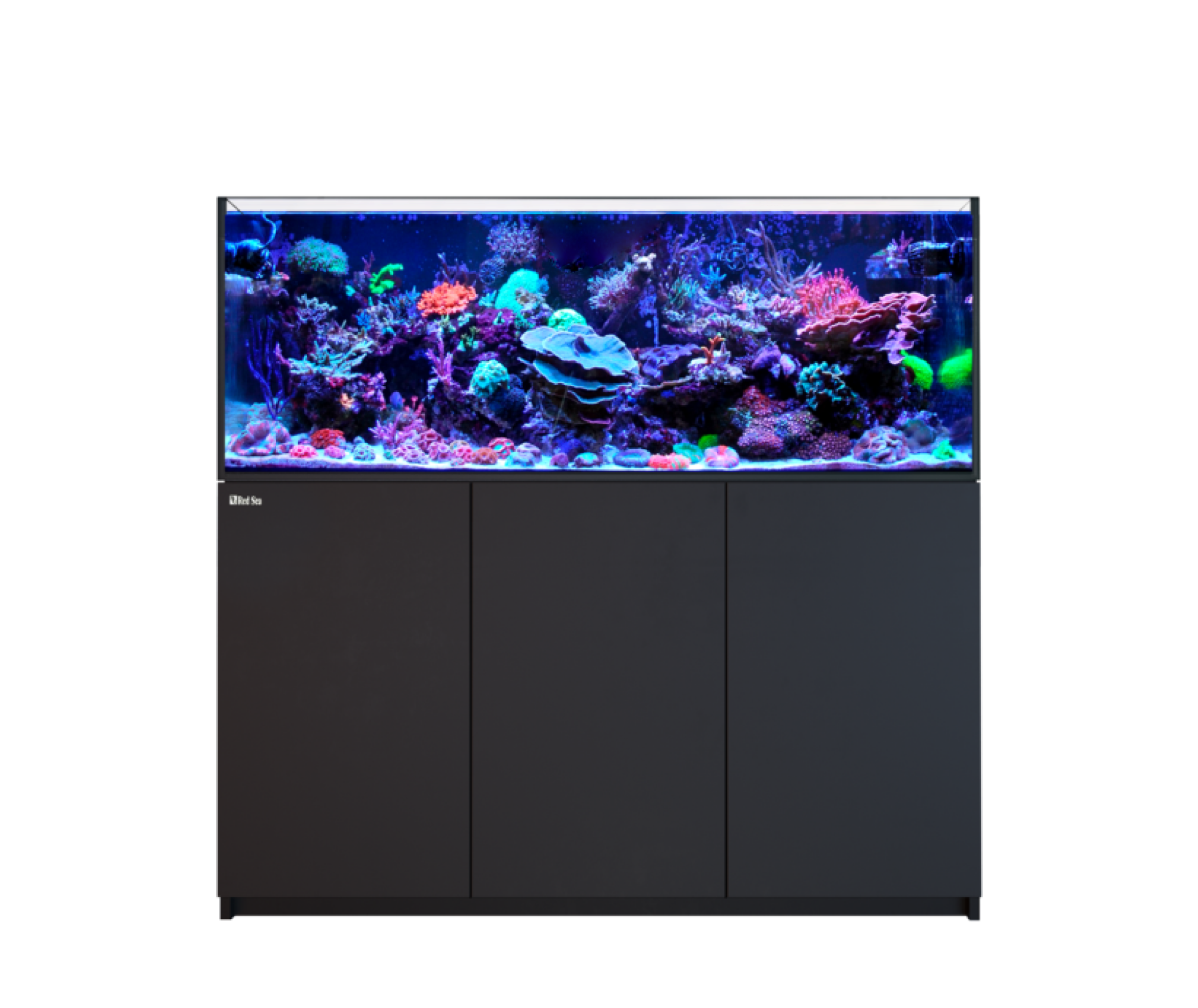 Red sea sale fish tank