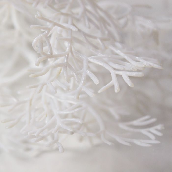 Biorb Large Sea Fan in White