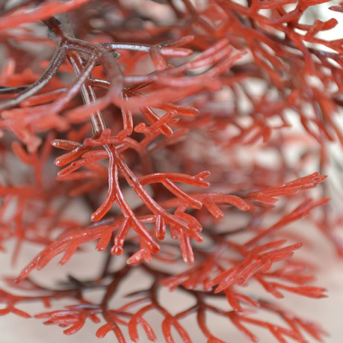 Biorb Large Sea Fan in Crimson