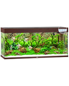 Juwel LED Rio 240 Dark Wood (Tank Only)