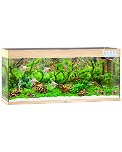 Juwel LED Rio 240 Light Wood (Tank Only)