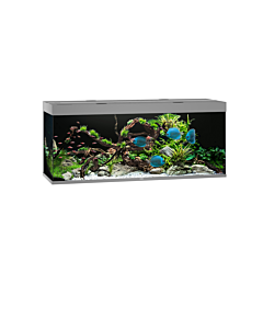 Juwel Rio 450 LED Aquarium in Grey