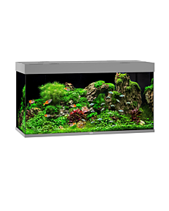 Juwel Rio 350 LED Aquarium in Grey