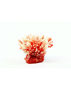 Natureform Staghorn White and Red - Acropora sp. Synthetic Coral  10.5 x 8.5 x 8cm