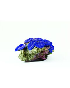 Natureform Mushroom Colony Purple - Discosoma sp. Synthetic Coral  14.5 x 11.5 x 8cm