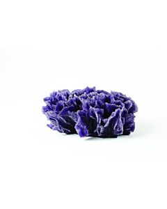 Natureform Lettuce Coral Purple - Pavona sp. Synthetic Coral  13.5 x 10 x 6cm