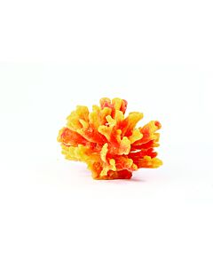 Natureform Thorn Yellow and Red - Stylophora sp. Synthetic Coral  13.5 x 13.5 x 10cm