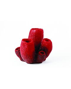 Natureform Vase Sponge Red and Purple - Mycale sp. Synthetic Coral  12.5 x 12 x 11cm