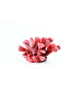 Natureform Cauliflower Red - Pocillopora sp. Synthetic Coral  24 x 21 x 13.5cm