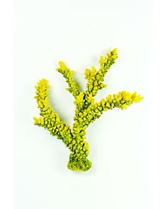 Natureform Staghorn Branch Yellow and Green - Acropora sp. Synthetic Coral  35 x 15 x 36cm