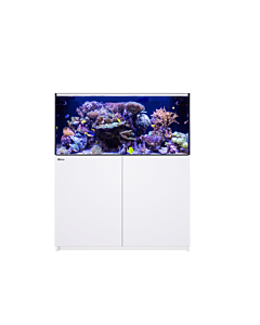 Red Sea Reefer XL 425 G2+ Aquarium White