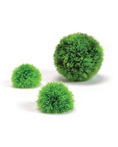 Biorb Aquatic Topiary