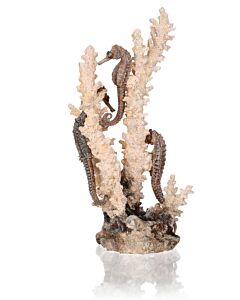 biOrb Seahorse on Coral Ornament Natural Medium