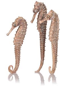 biOrb seahorse 3 pack natural