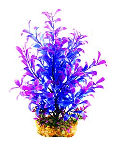 Aqua One Vibrance Blue Hygrophila Medium 20cm