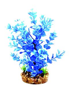 Aqua One Vibrance Blue Ludwigia Medium 20cm