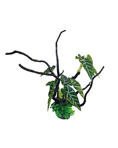 AquaOne Ecoscape Philodendron Green on Driftwood