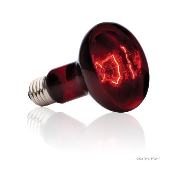 75w on sale heat lamp