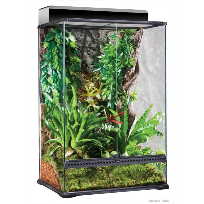 ExoTerra Dual Top 60 Terrarium hotsell