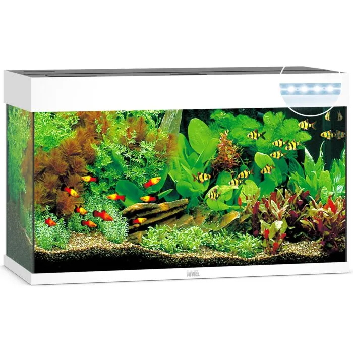 Aquarium Juwel top 125