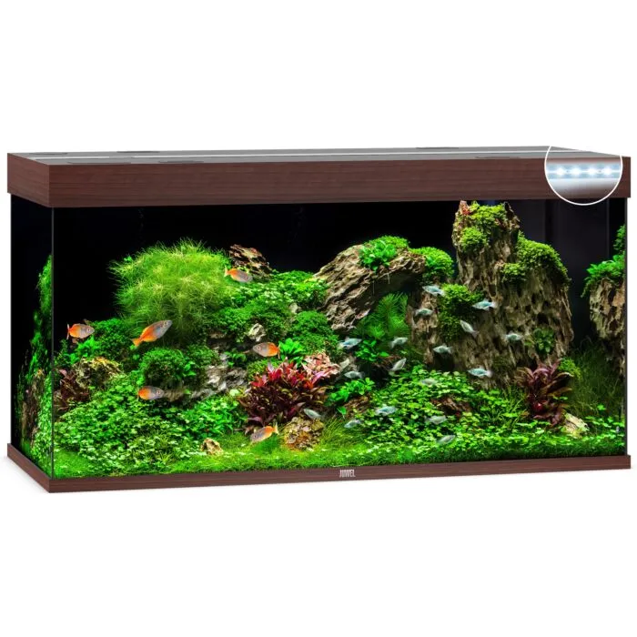 Juwel selling Rio 350L Aquarium