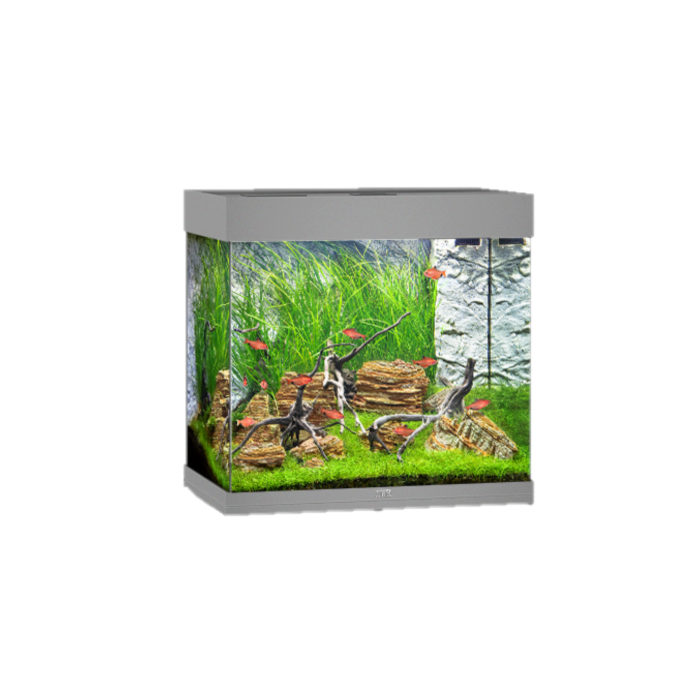 120 litre 2024 fish tank