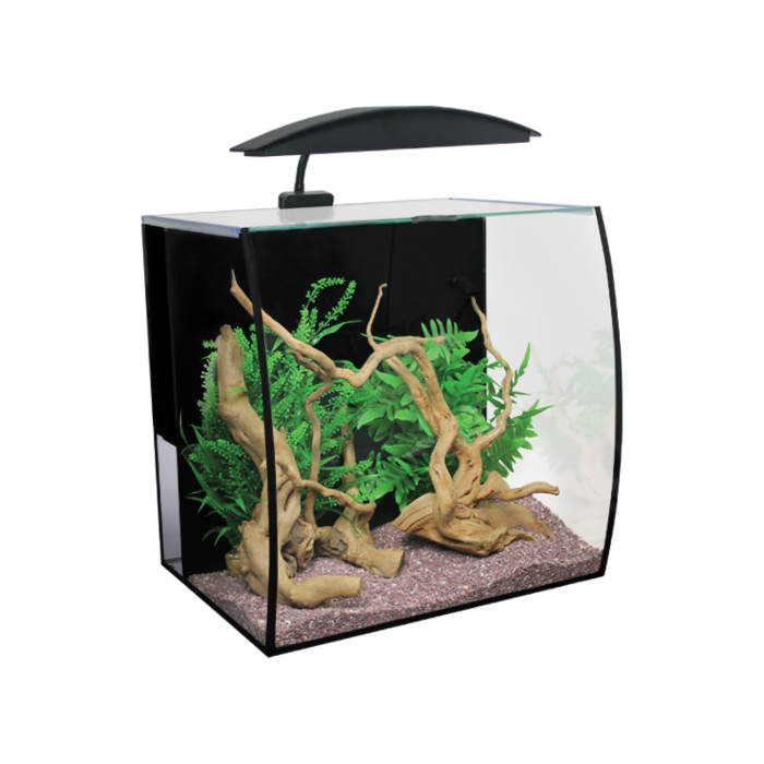 Freshwater all store in one aquarium