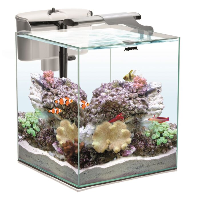 Aquael best sale fish tank