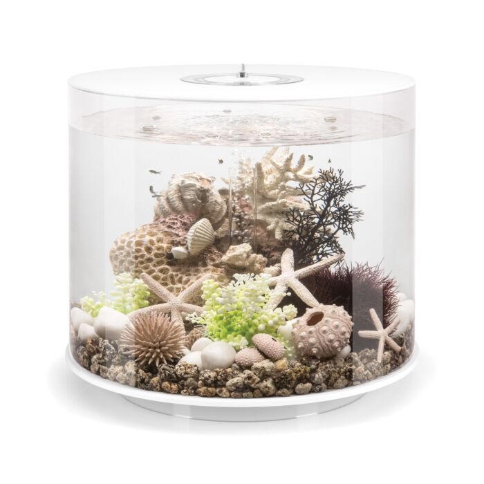 Tube aquarium best sale