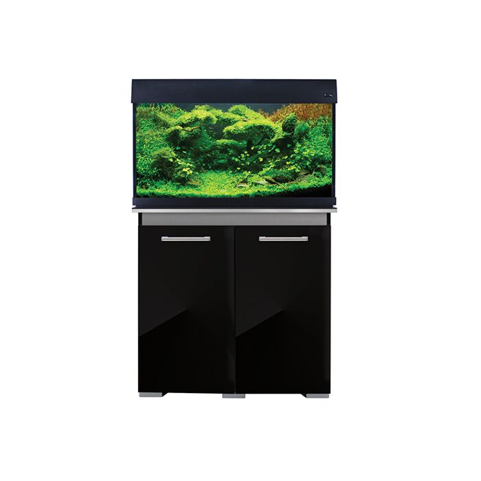 Modern aquarium best sale