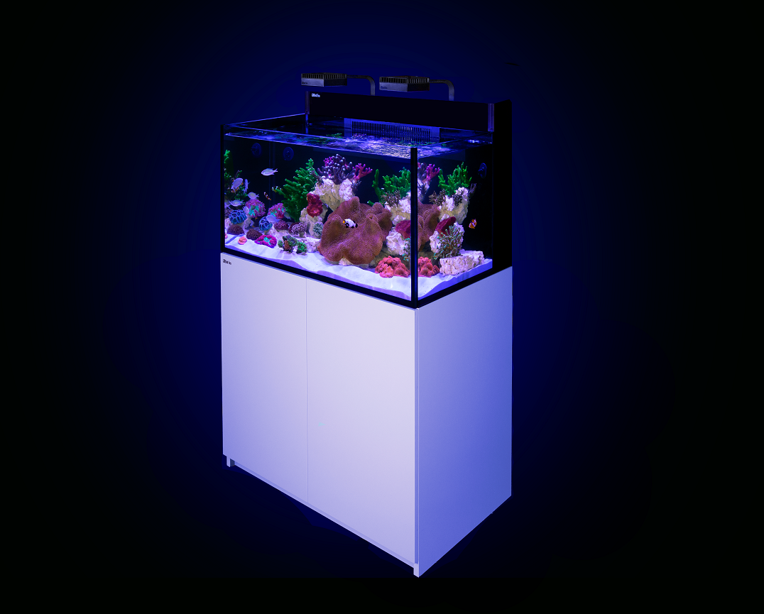 Red Sea MAX Nano XXL G2 Aquarium and Cabinet Black